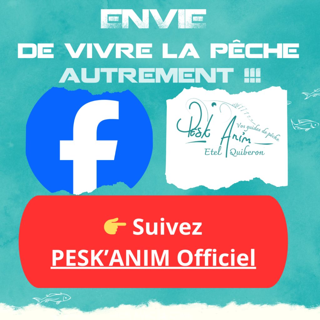 facebook guide de pêche quiberon