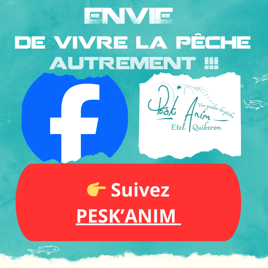 facebook guide de pêche quiberon