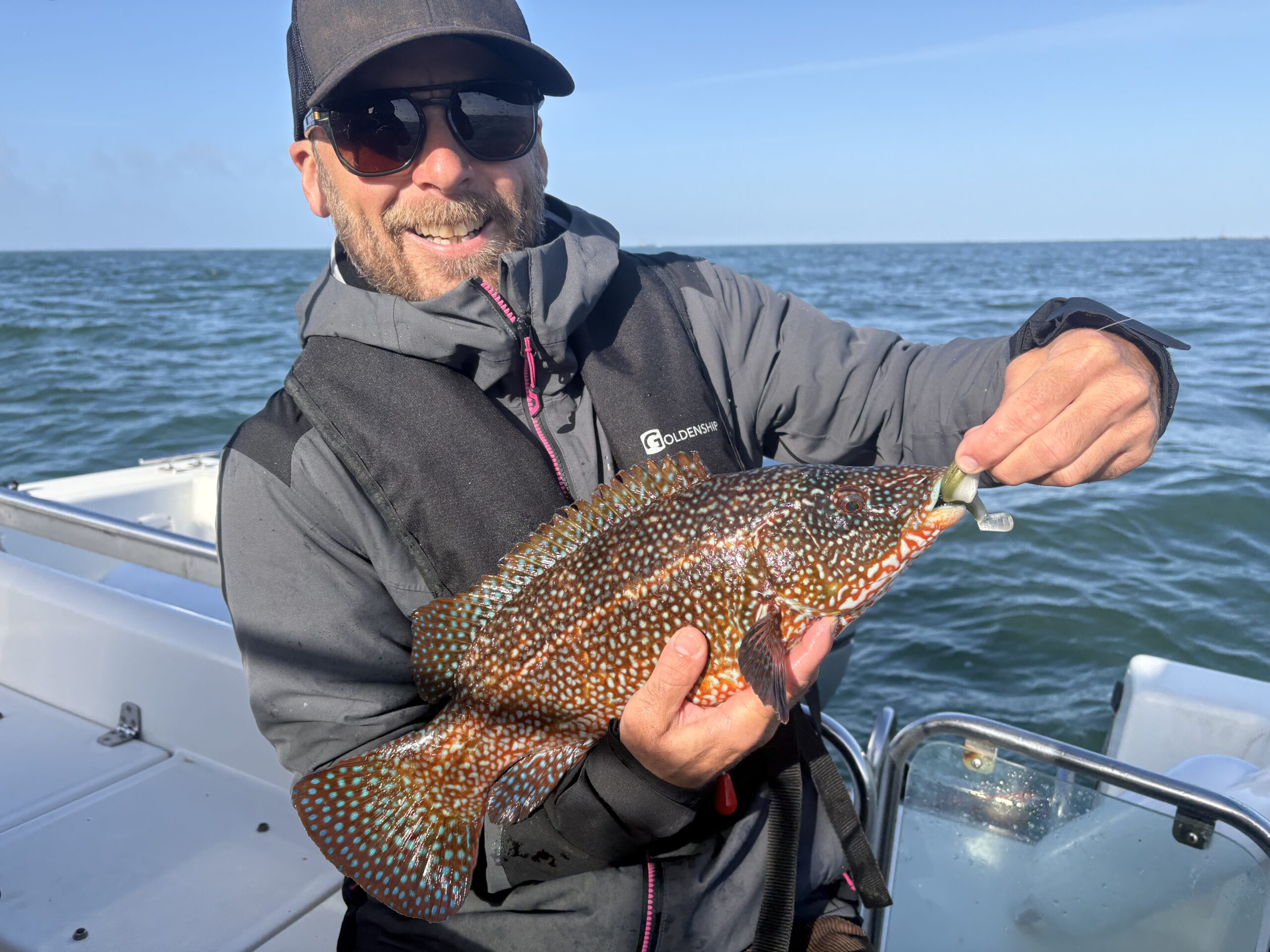 Stanley et sa vielle à Quiberon
