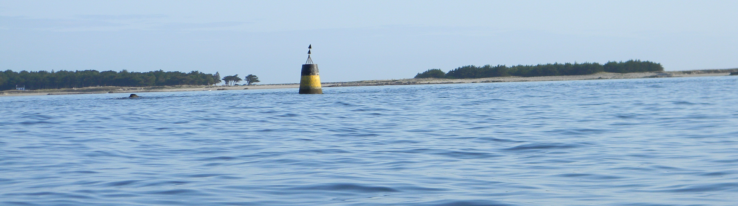 Bannière guide pêche morbihan