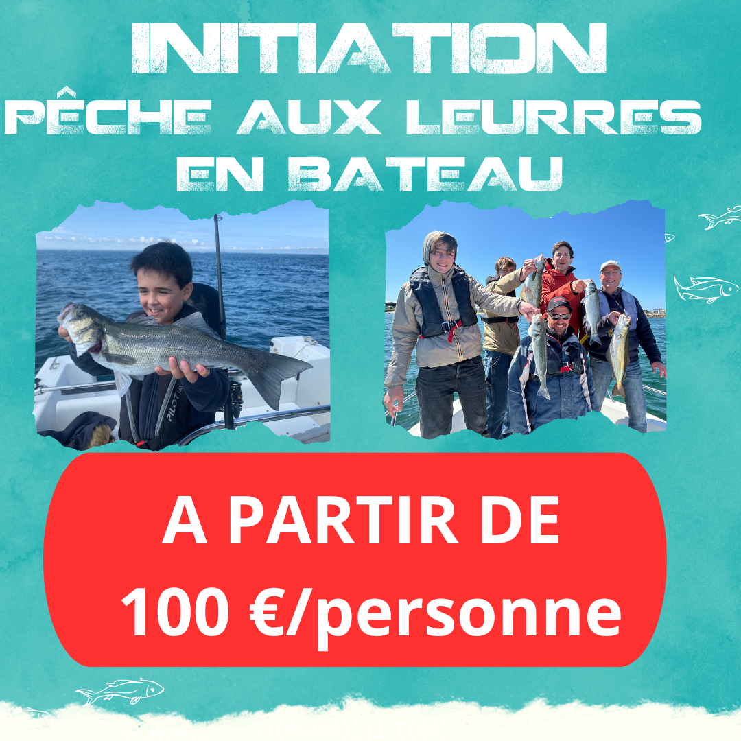 offre prix 2026
